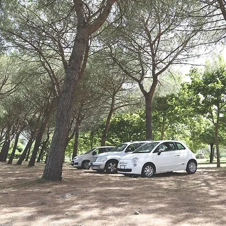 Hotel La Carrozza D'oro 3*